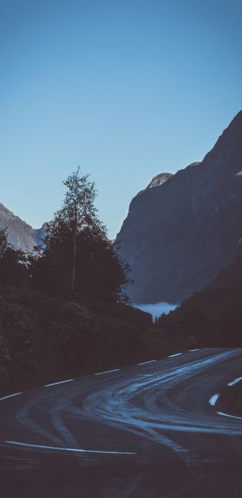 road, mountains Wallpaper 1080x2220