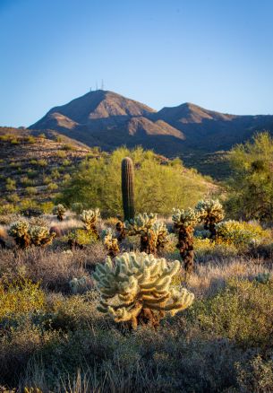 Arizona, USA Wallpaper 1640x2360