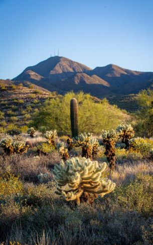 Arizona, USA Wallpaper 1752x2800