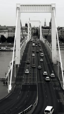 Budapest, hungary Wallpaper 640x1136