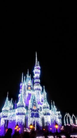 Disney World, Orlando, Florida, USA Wallpaper 1080x1920