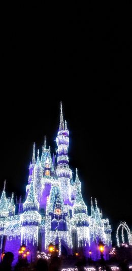 Disney World, Orlando, Florida, USA Wallpaper 1440x2960