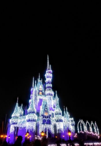 Disney World, Orlando, Florida, USA Wallpaper 1640x2360
