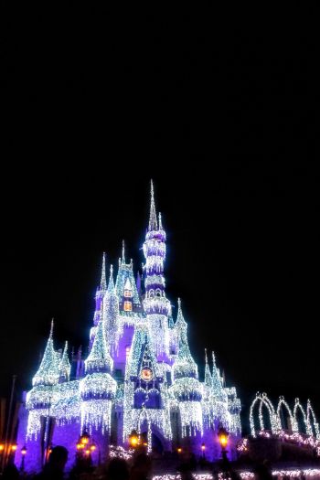 Disney World, Orlando, Florida, USA Wallpaper 640x960