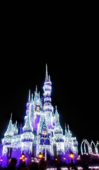 Disney World, Orlando, Florida, USA Wallpaper 600x1024