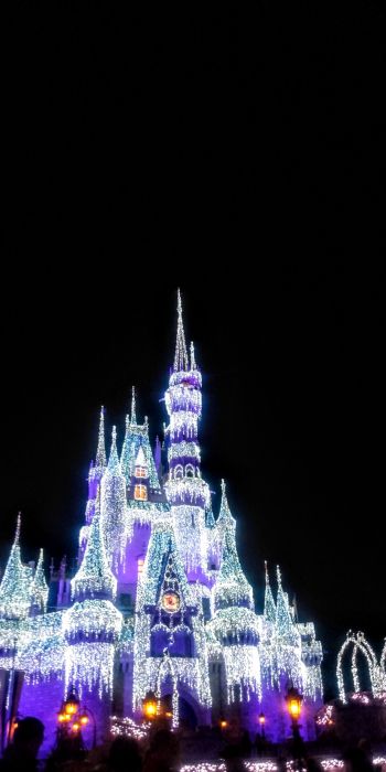 Disney World, Orlando, Florida, USA Wallpaper 720x1440