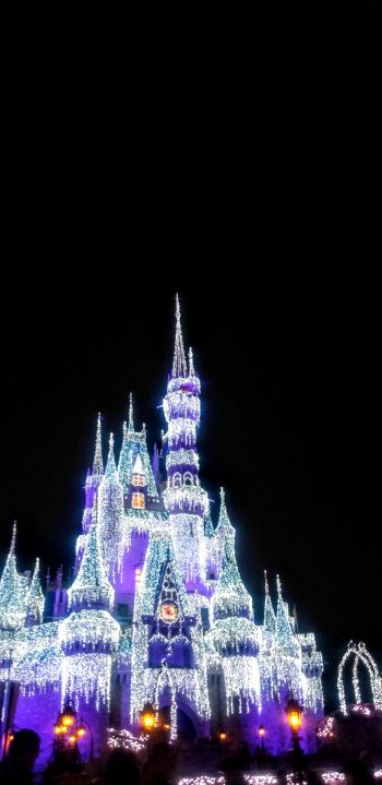 Disney World, Orlando, Florida, USA Wallpaper 1080x2220