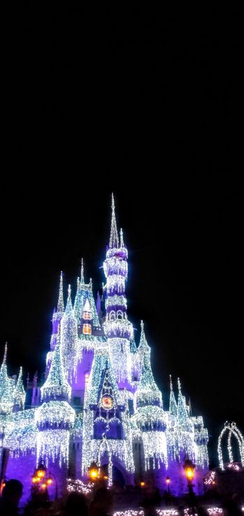 Disney World, Orlando, Florida, USA Wallpaper 720x1520