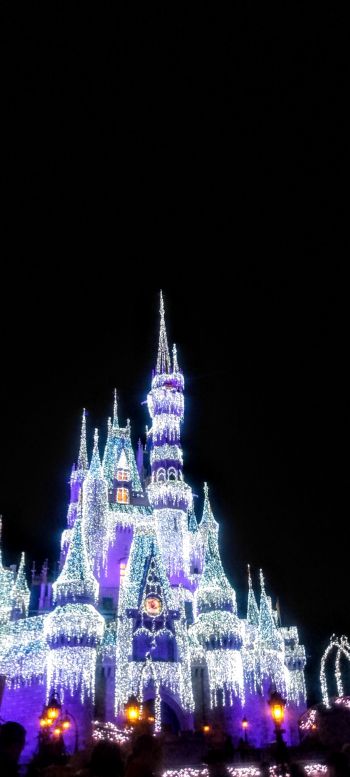 Disney World, Orlando, Florida, USA Wallpaper 1440x3200