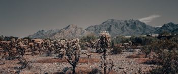 Arizona, USA, wild landscape Wallpaper 2560x1080