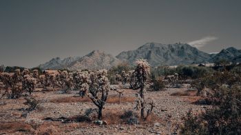 Обои 1600x900 Аризона, США, дикий пейзаж