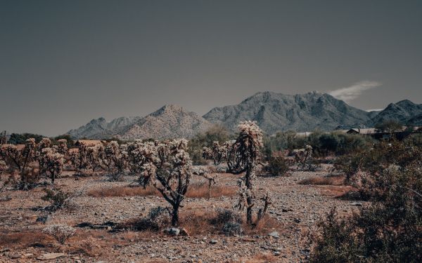 Arizona, USA, wild landscape Wallpaper 2560x1600