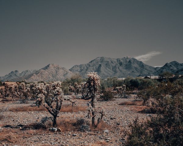 Arizona, USA, wild landscape Wallpaper 1280x1024