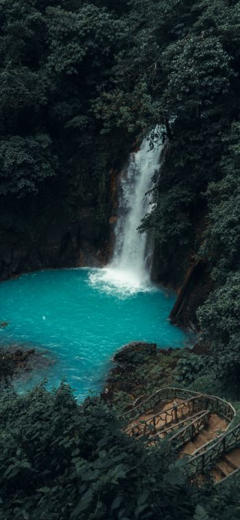 Обои 828x1792 Коста-Рика, водопад