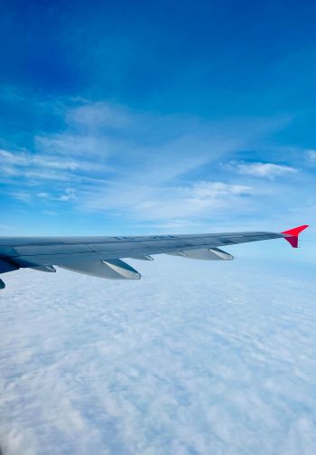 airplane wing, above the clouds Wallpaper 1640x2360