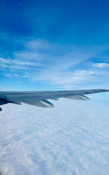 airplane wing, above the clouds Wallpaper 800x1280