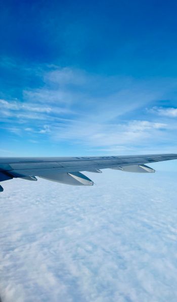 airplane wing, above the clouds Wallpaper 600x1024