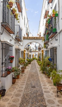 Cordova, Spain, city street Wallpaper 600x1024