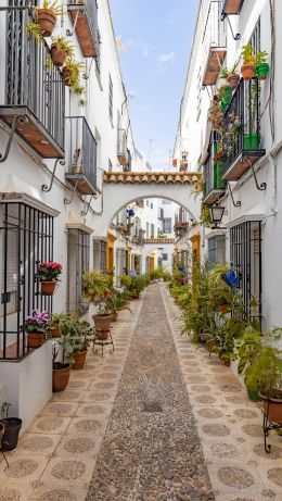 Cordova, Spain, city street Wallpaper 640x1136