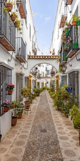 Cordova, Spain, city street Wallpaper 720x1440