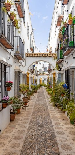 Cordova, Spain, city street Wallpaper 1440x2960