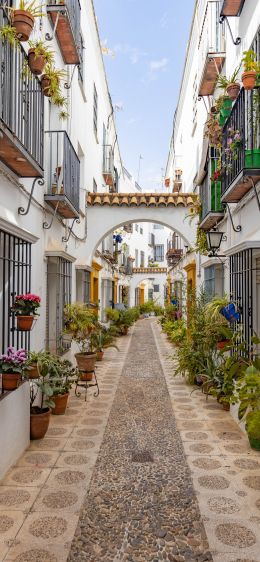 Cordova, Spain, city street Wallpaper 828x1792