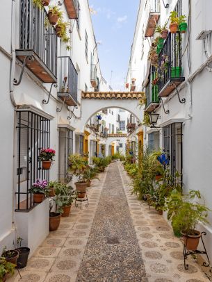 Cordova, Spain, city street Wallpaper 1668x2224