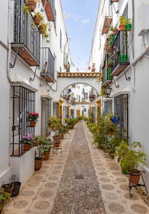 Cordova, Spain, city street Wallpaper 1640x2360