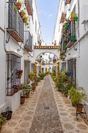 Cordova, Spain, city street Wallpaper 640x960