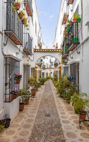 Cordova, Spain, city street Wallpaper 1752x2800