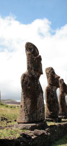 Easter Island, Chile Wallpaper 828x1792