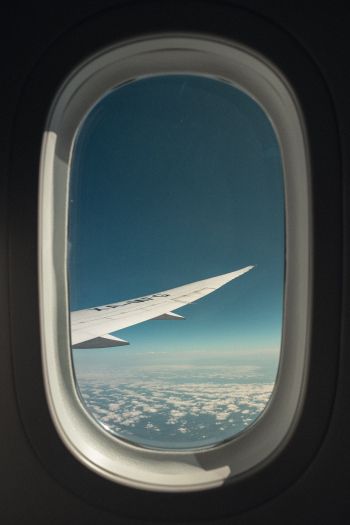 airplane wing, window view Wallpaper 640x960