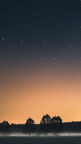 Вда, Poland, starry sky Wallpaper 720x1280