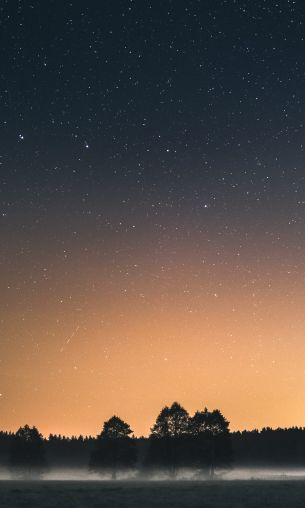 Вда, Poland, starry sky Wallpaper 1200x2000