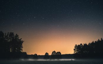 Вда, Poland, starry sky Wallpaper 2560x1600