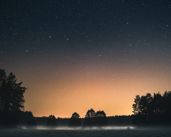 Вда, Poland, starry sky Wallpaper 1280x1024