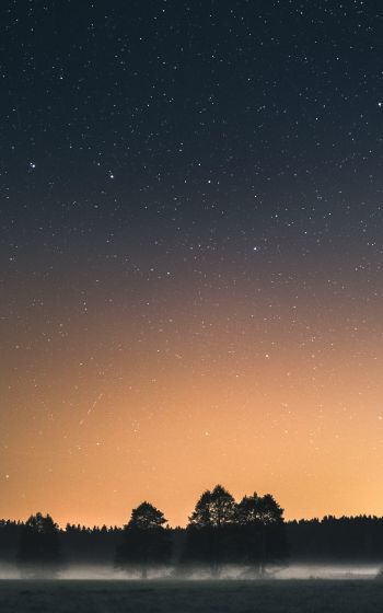 Вда, Poland, starry sky Wallpaper 1600x2560