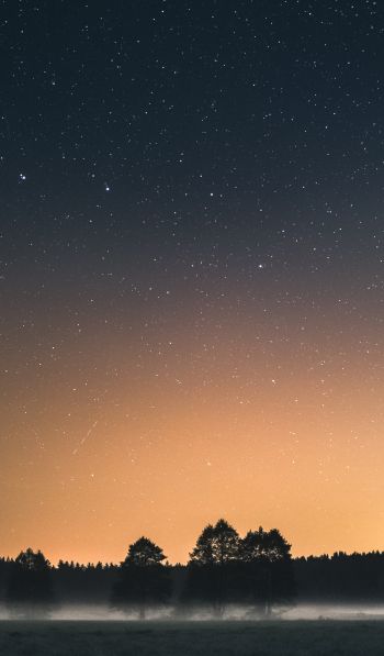 Вда, Poland, starry sky Wallpaper 600x1024