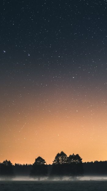 Вда, Poland, starry sky Wallpaper 640x1136