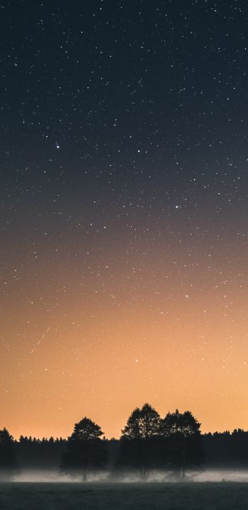 Вда, Poland, starry sky Wallpaper 1440x2960