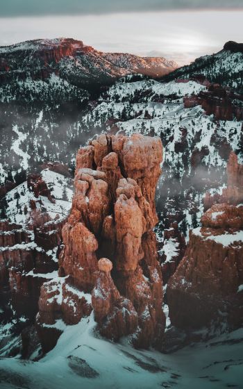 Bryce Canyon National Park, Utah, USA Wallpaper 1600x2560