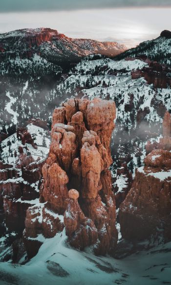 Bryce Canyon National Park, Utah, USA Wallpaper 1200x2000