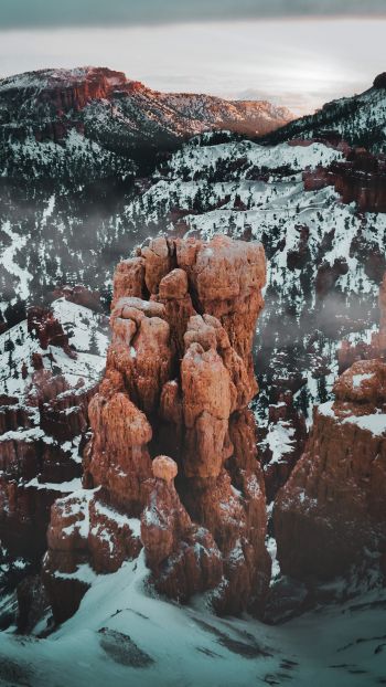 Bryce Canyon National Park, Utah, USA Wallpaper 720x1280