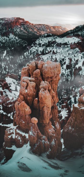 Bryce Canyon National Park, Utah, USA Wallpaper 1440x3040