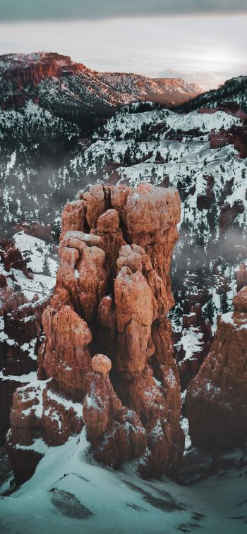 Bryce Canyon National Park, Utah, USA Wallpaper 1125x2436