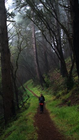 Point Reyes, California, USA Wallpaper 640x1136