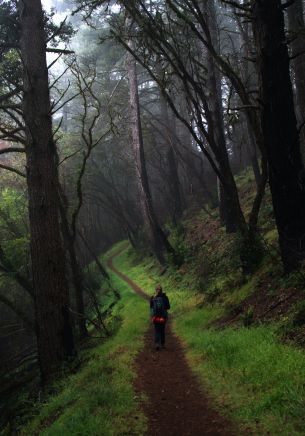 Point Reyes, California, USA Wallpaper 1668x2388