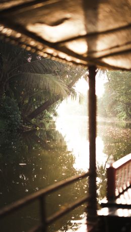 nature, jungle Wallpaper 640x1136