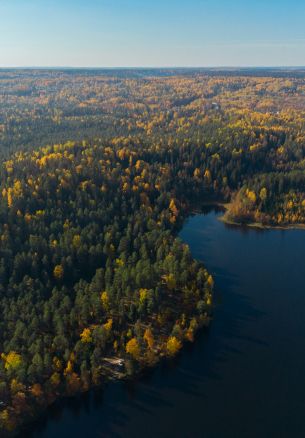 Орехово, Leningrad region, Russia Wallpaper 1640x2360