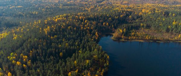 Орехово, Leningrad region, Russia Wallpaper 3440x1440